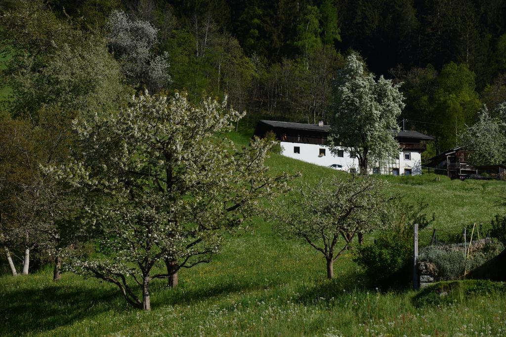 Pension Tina Neustift im Stubaital Exterior foto