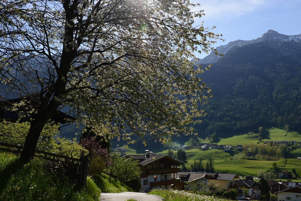 Pension Tina Neustift im Stubaital Exterior foto